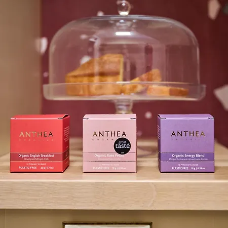 Tatil Evi Elyn House Hanya