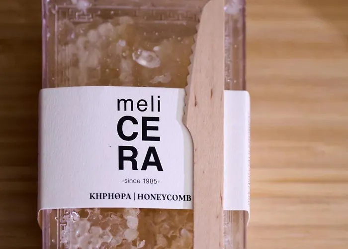 Elyn House Semesterbostad